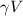 $\gamma V$
