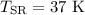 $T_{\rm SR} = 37\ \text{K}$