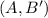 $(A,B^{\prime })$