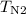 $T_{\textrm {N2}}$